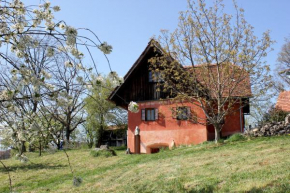  Ferienwohnungen Sonnenberg  Рач-Ан-Дер-Вайнштрассе